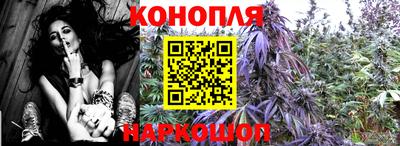 МДПВ Донецк