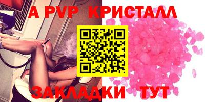 крисы Донской