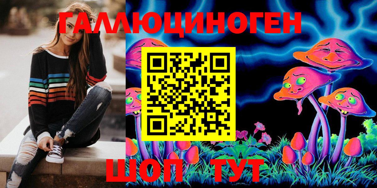 Курчалой  Галлюциногенные грибы Psilocybine cubensis  Вход с VPN 