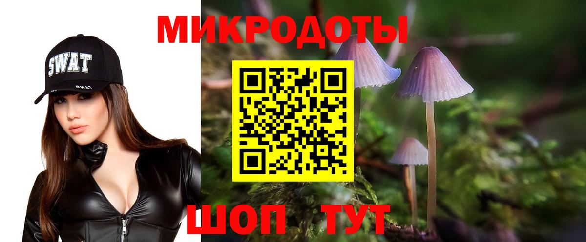 Псилоцибиновые грибы мухоморы Курчалой